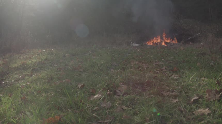 Small fire next to a forest outdoors during day time