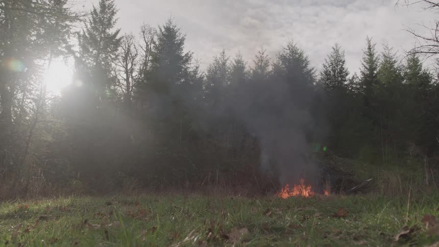 Small flames and smoke rise in a sunlit clearing among trees