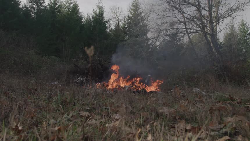 Fire burns through dry vegetation in a clearing surrounded by trees