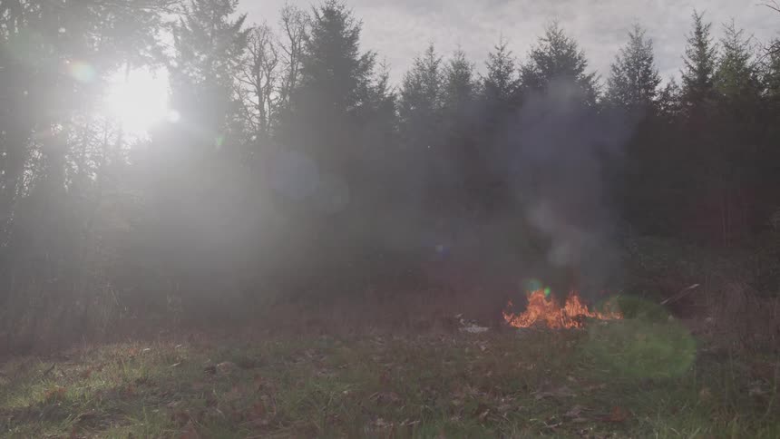 A group of items burning on the ground in a forest area during daytime