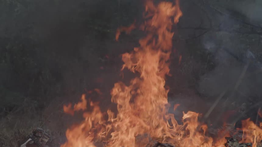 Close up of items burning on the ground outdoors in a forest area during daytime