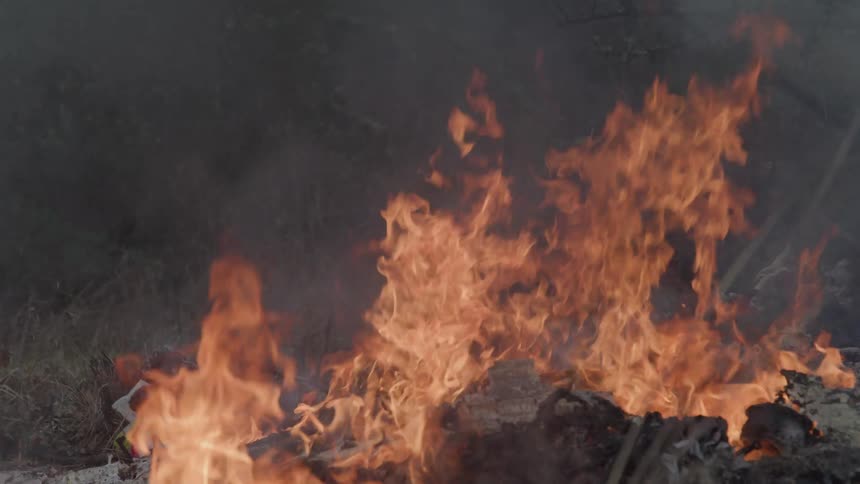 Intense fire engulfs wood pile in outdoor area with vegetation in the background