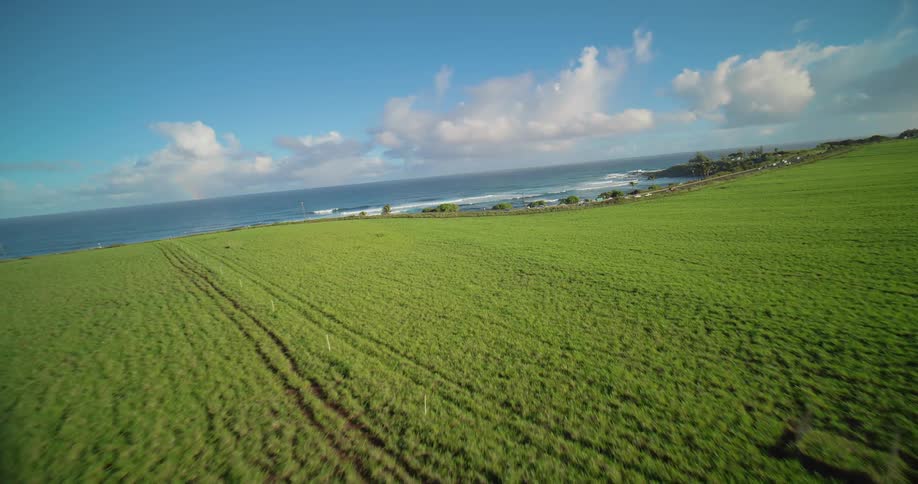 An aerial perspective of a vast green field moves forward toward a coastline with a road and small parking area alongside the ocean water beneath a partly cloudy blue sky