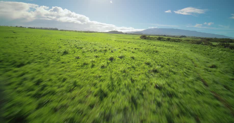 Flying over a large field