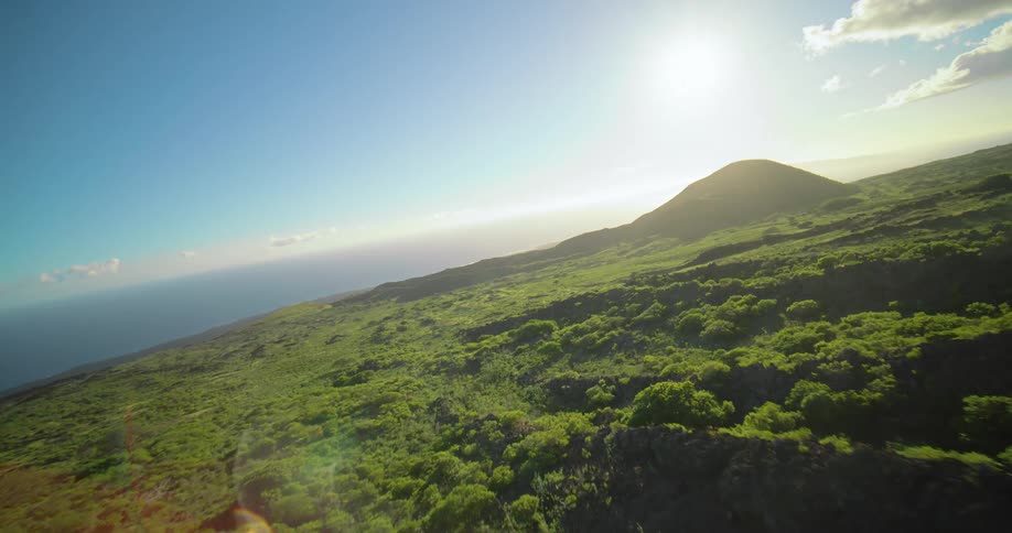 Lush landscape illuminated by the sun on the horizon