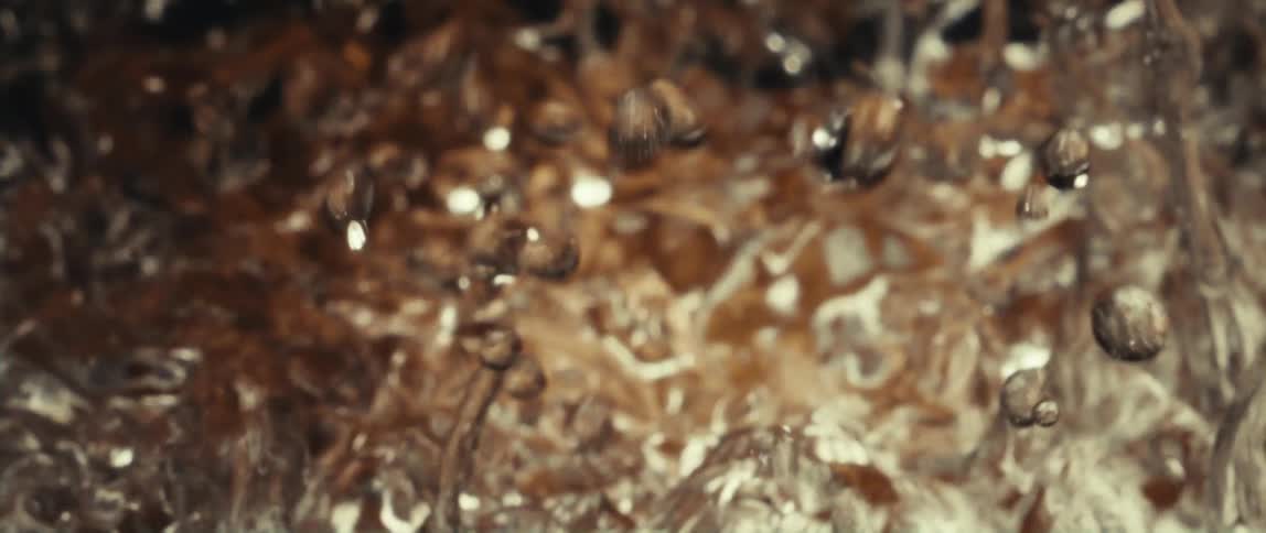 Close up of water drops shaking and moving
