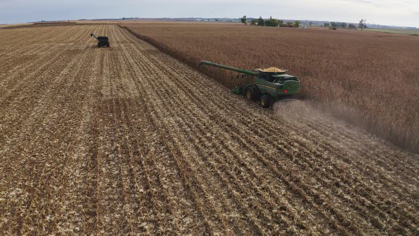 Green combine harvesters operate in flat cornfield with cloudy sky in the background