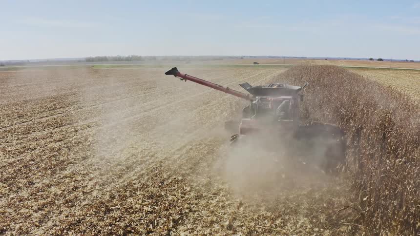 Red combine harvester operates in a cornfield under clear sky kicking up dust during harvest