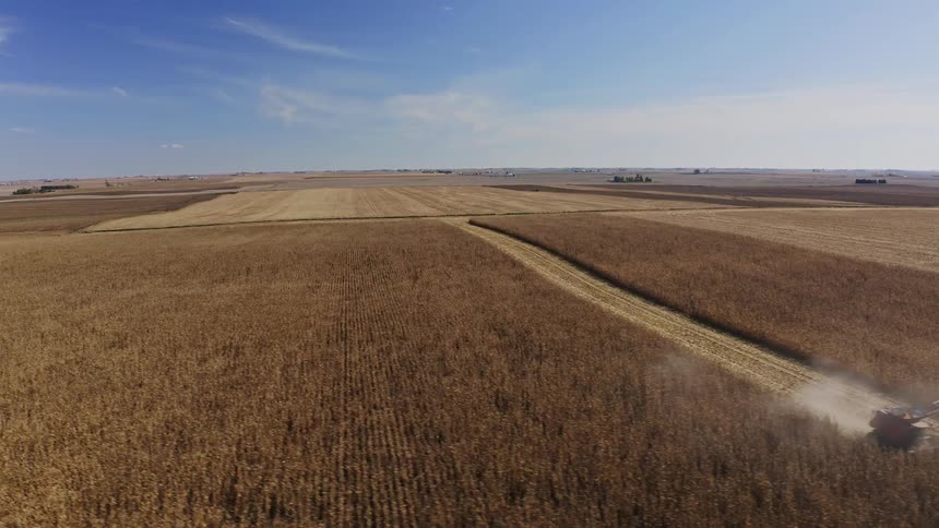 Red combine harvester unloads grain into tractor with cart in flat field under blue sky