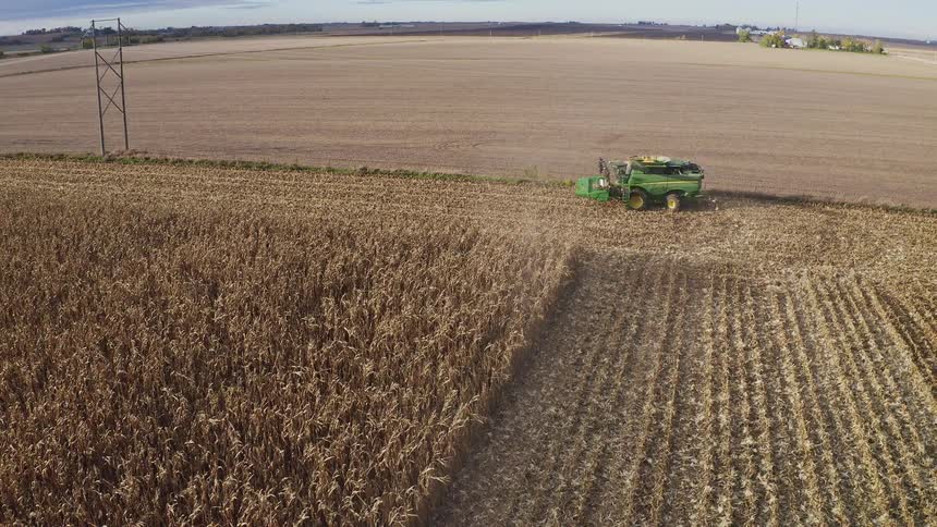 Green combine harvester moves through flat cornfield during harvest under clear sky