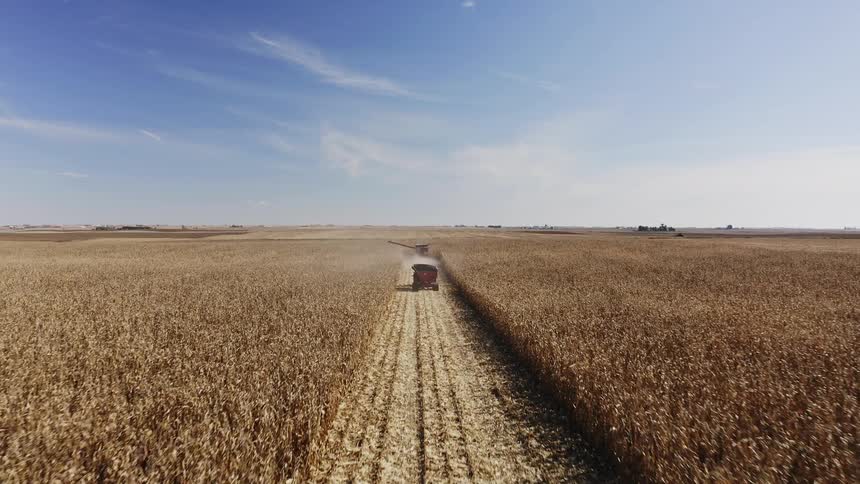The farm vehicle is parked in the crops