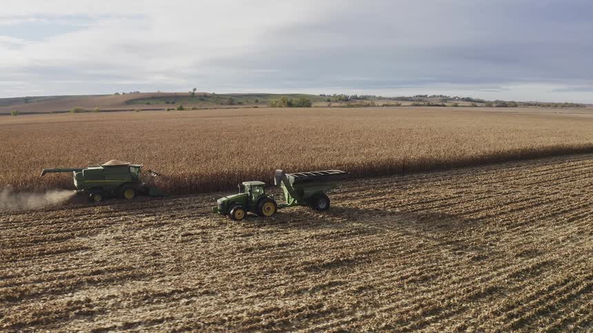 The tractor moves over the farm land collecting the brown grain