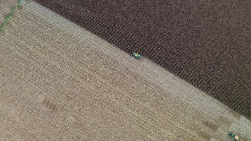 The green tractor is collecting the crops