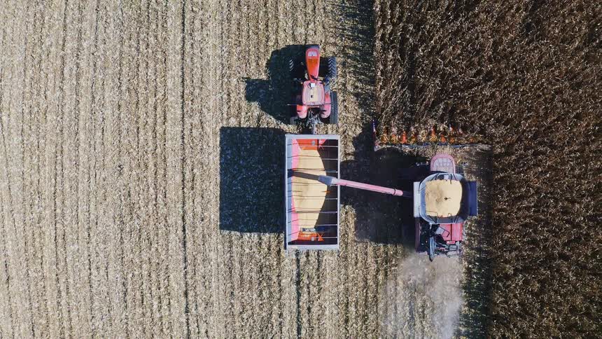 The tractor works the long farm land