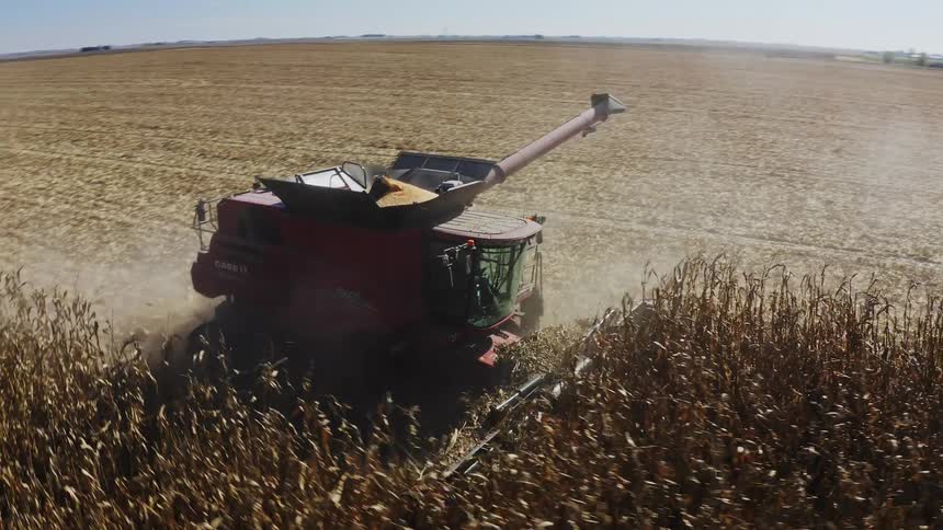 Aerial view of a combine harvester harvesting in a dry cornfield