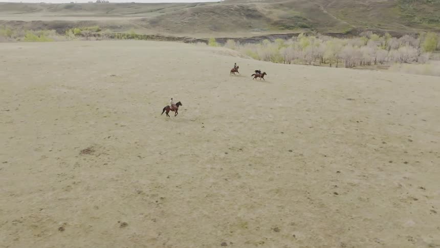 Riders gallop across an open field toward a herd in the distance