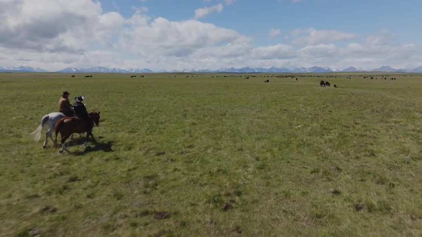 Two riders cross a vast green field under a blue sky with clouds