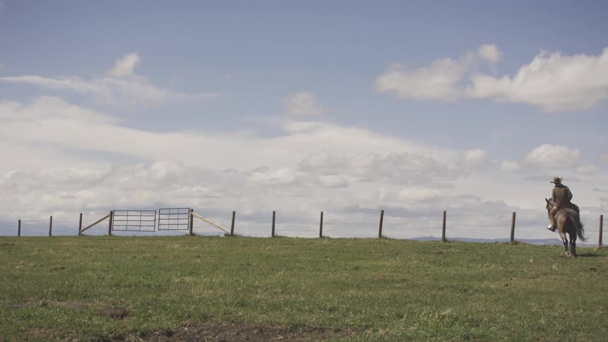 A cowboy wearing a hat and western clothes rides a dark horse across a green fenced pasture in a wide view under a blue sky with white clouds