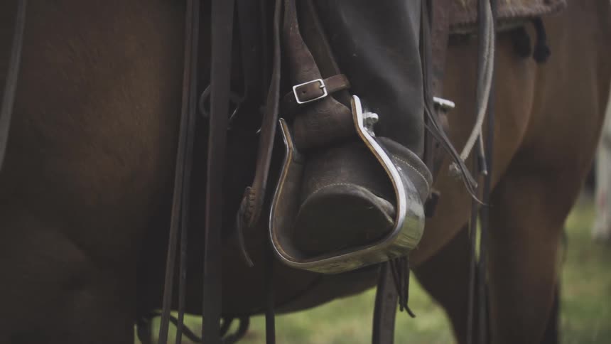 Close up of a person sitting on a horse outdoors on a field during daytime