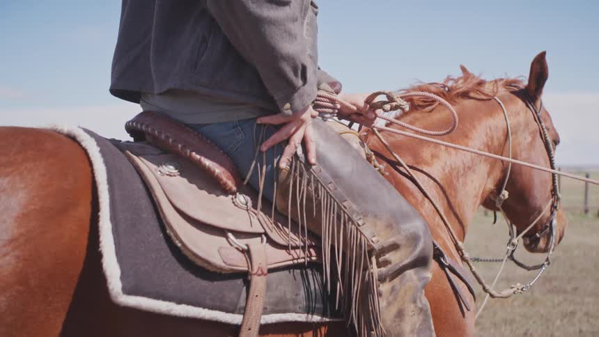 A bay horse in a bridle stands calmly beside a bundled rider next to horses and a small group of people
