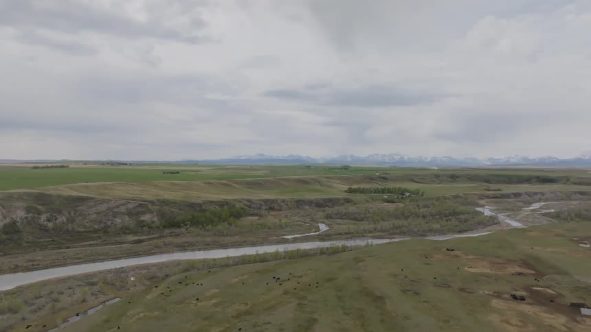 Cattle scattered across grassy plain with winding river and mountains in the background