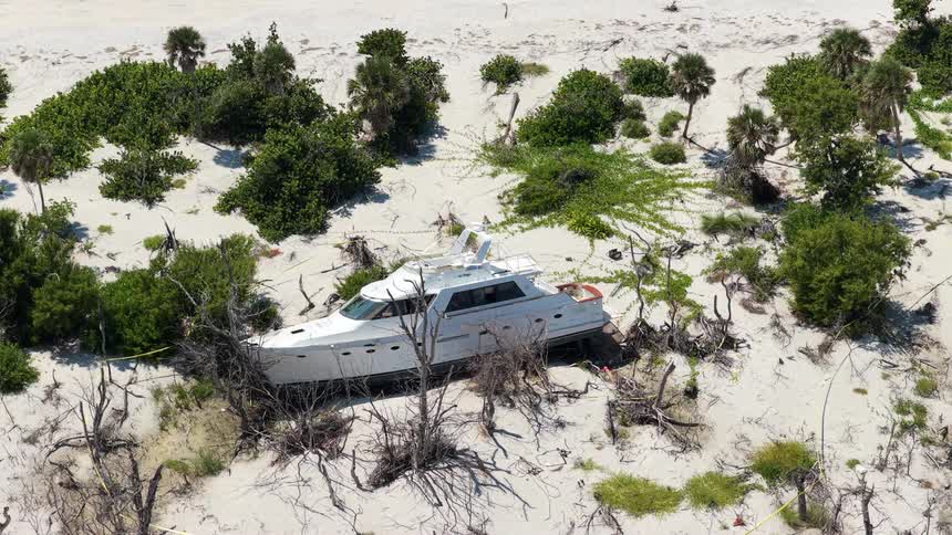 Aerial of an abandoned white boat on the beach sand surrounded by green vegetation during daytime