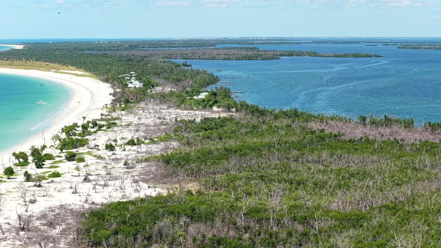 Stretch of white sand borders turquoise waters alongside dense coastal vegetation