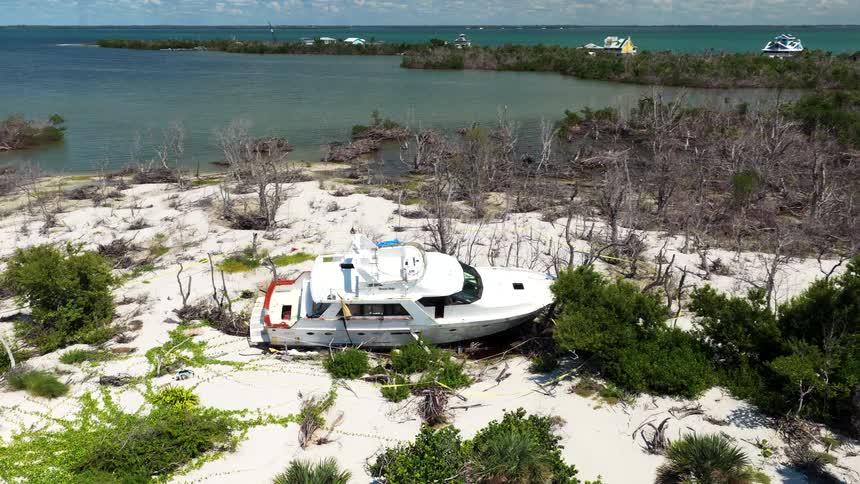Stranded boat rests on the sand surrounded by coastal vegetation