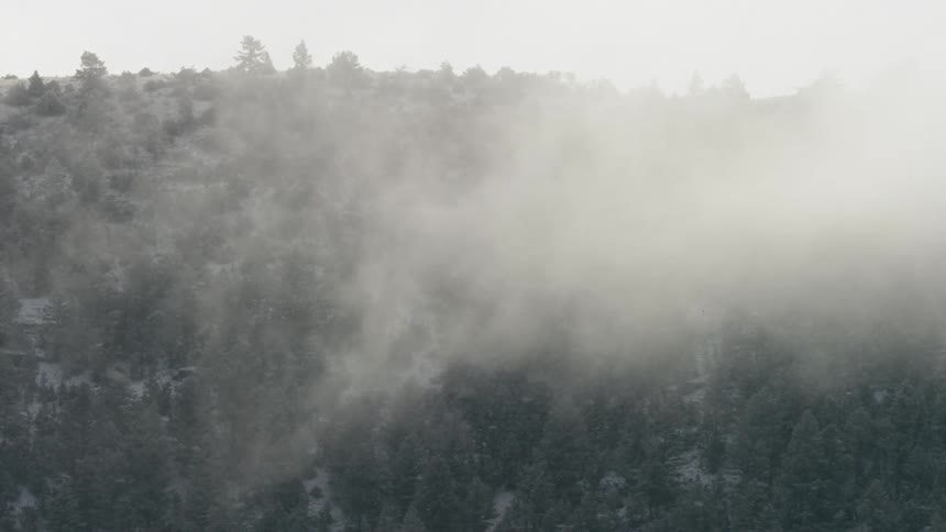 An aerial wide view shows thick white mist blowing across a dense forest of dark green pine trees covering a hillside in a cold natural atmosphere