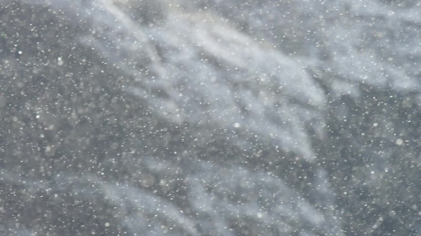 Snowflakes fall gently creating a cold and sparkling scene