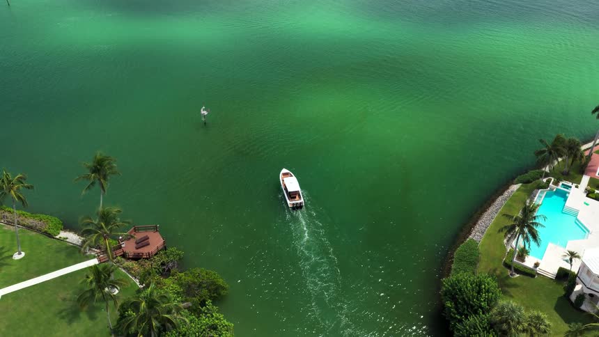 Boat sails through emeraldgreen waters surrounded by palm trees and luxurious houses