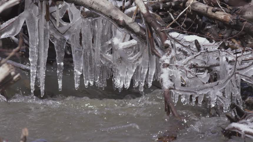 Branches with icicle pendants hang above stream in winter setting
