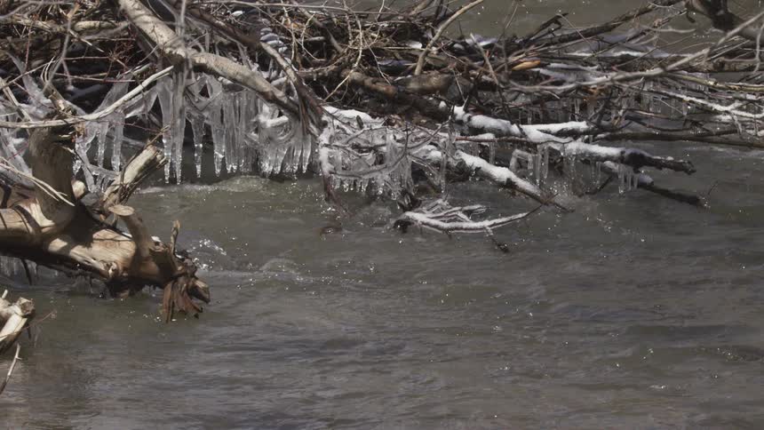 Icecovered branches stretch over a flowing river of cold water