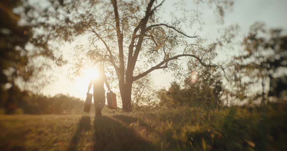 Person walking in grassy field with two box toward a tree at sunset