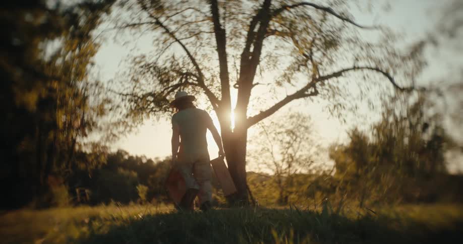 A silhouetted person wearing a hat and a tshirt stands facing away from the camera holding a painting canvas while moving toward a large tree in a grassy sunlit field at sunset