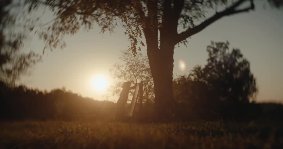 Person paints outdoors under the golden sunset light beside a tree