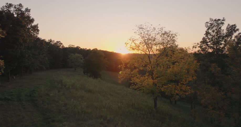 Aerial of a person painting on a canvas outdoors on a field next to a woodland area at sunset