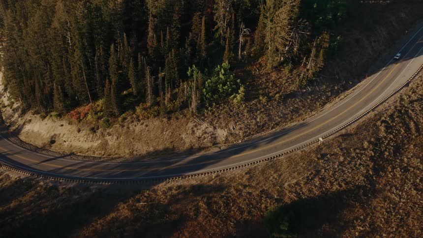 An aerial view tracks a white car driving along a curving twolane mountain road that cuts through a dense green and brown pine forest at sunset
