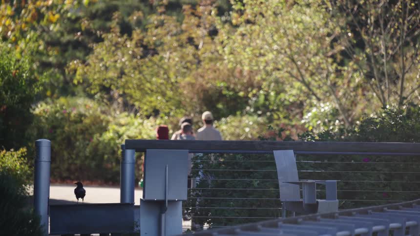People walking in a wooded area with a bird perched on a railing