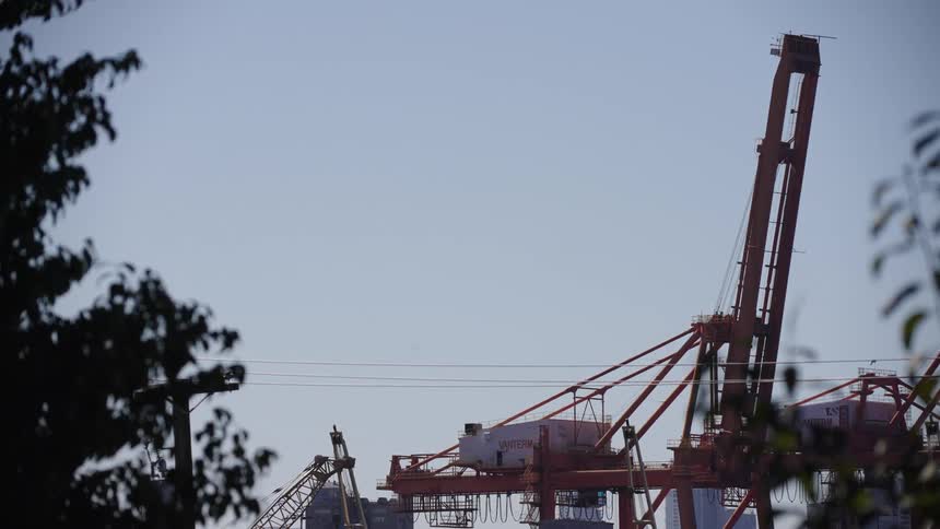 Large cranes are in the harbor