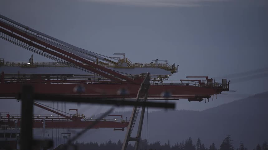 Birds fly past the unfinished structure towering over a forest during a foggy evening