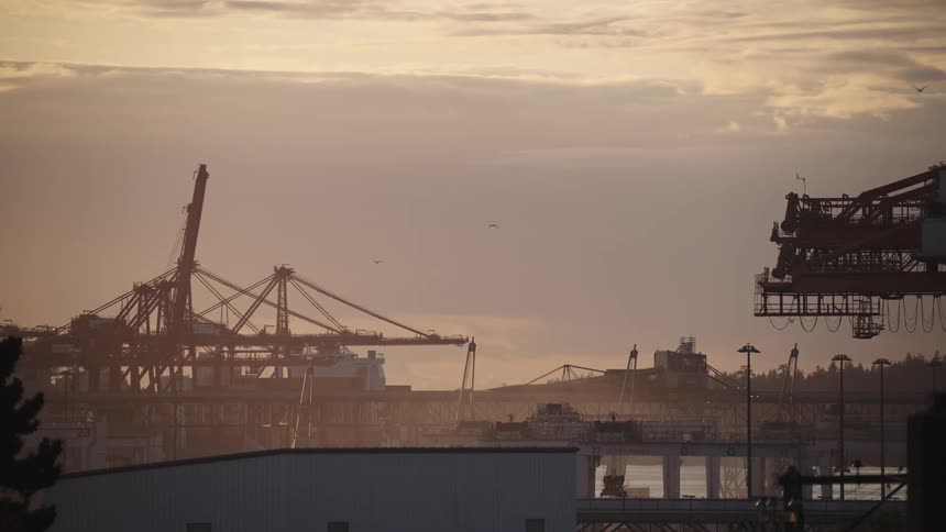 This wide telephoto shot captures a vast industrial landscape dominated by towering cranes and harbor machinery silhouetted against a bright hazy overcast skythe heavy metallic structures which include a large gantrystyle crane on the