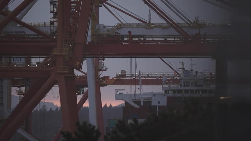 The crane is moving storage containers as birds fly by
