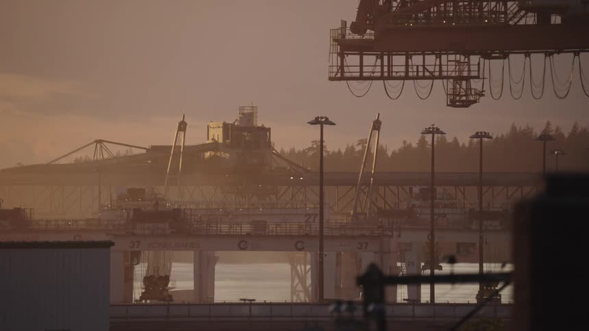 Cranes and industrial structures emerge through the golden dusk mist at the port