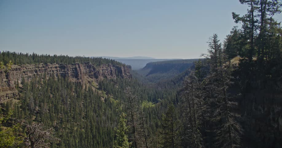 A deep chasm with densely forested slopes and sheer rock walls leading to a long open valley flanked by distant mountain ranges under a clear sky