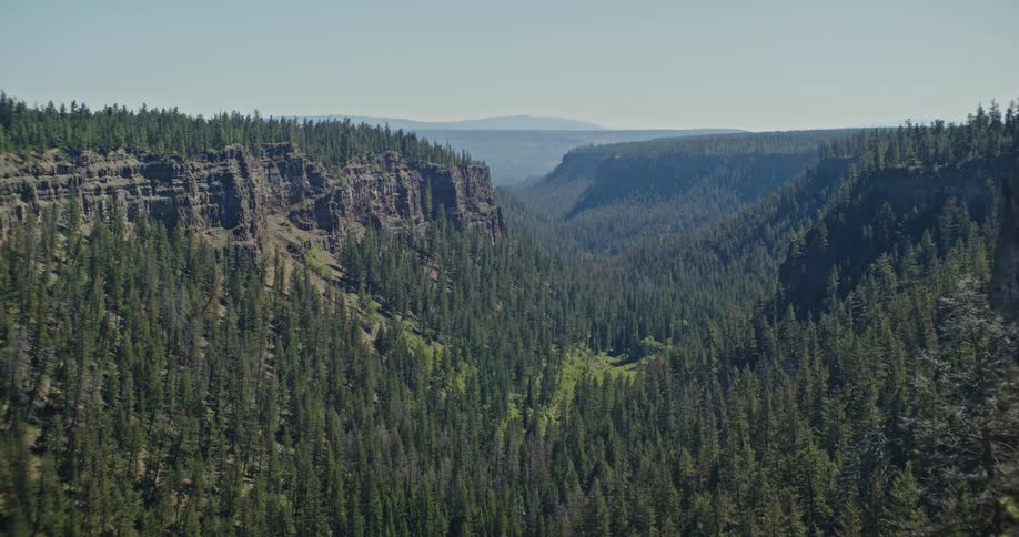 A landscape of a region with large hills surrounded by a huge pine forest