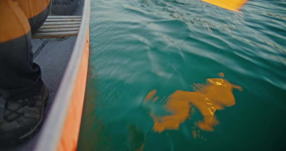 Paddle stirs the water beside a moving boat creating gentle whirlpools