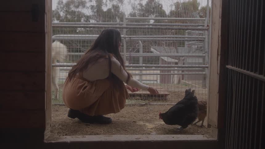 A woman crouching and extending her hand toward a darkcolored bird in an enclosure with other animals and wire fencing visible in the background