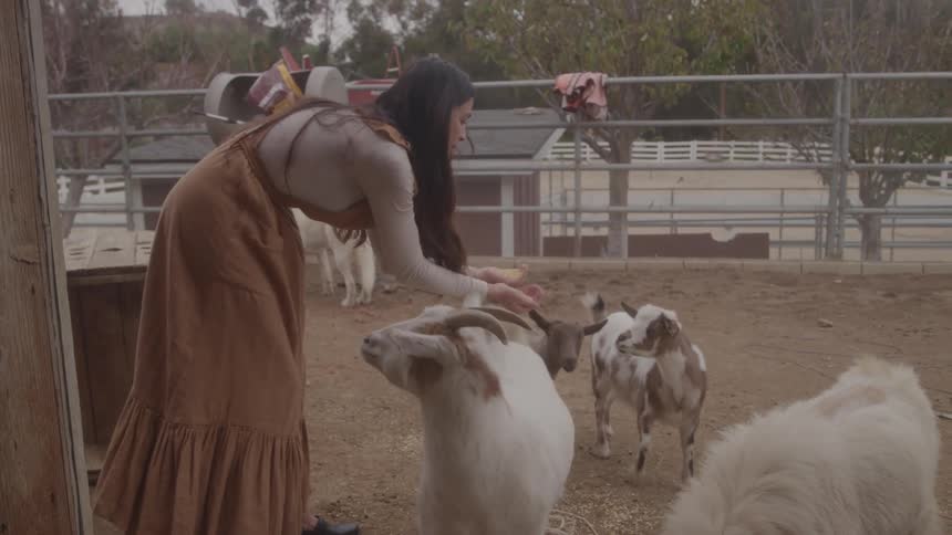 A young woman in a brown garment leans forward to feed two or more domesticated goats in an outdoor dirt enclosure on a sunny day