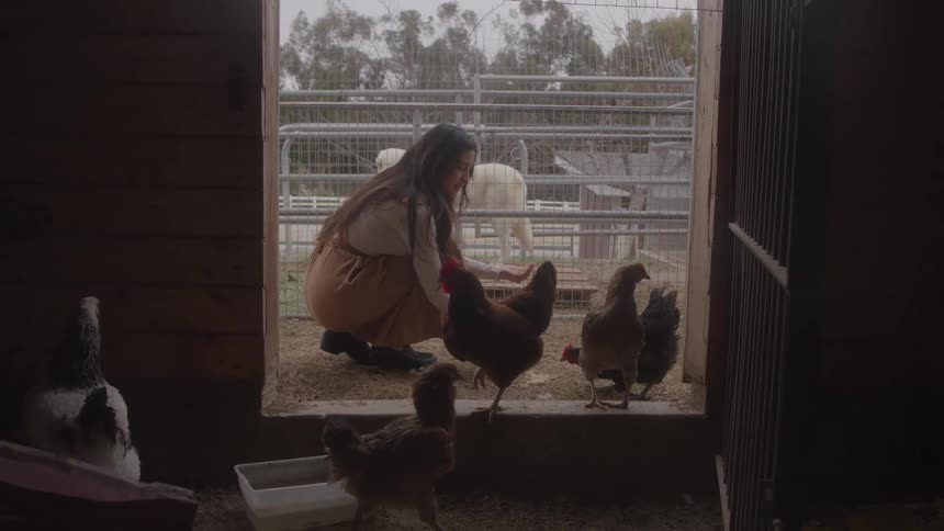A woman stands just outside a chicken coop at midday with several hens walking past her